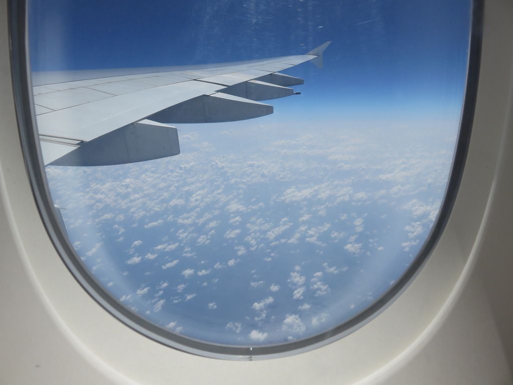 wing A380 wing A380