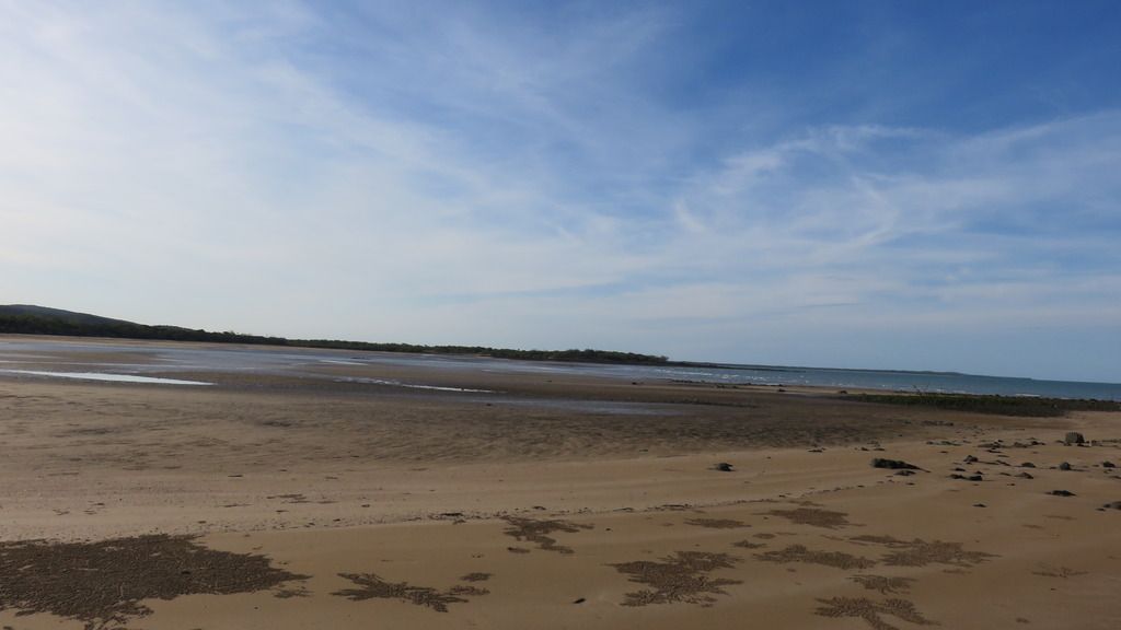 low tide low tide