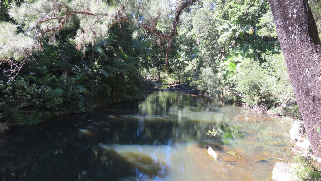 platypus infested creek as you can see... platypus infested creek as you can see...