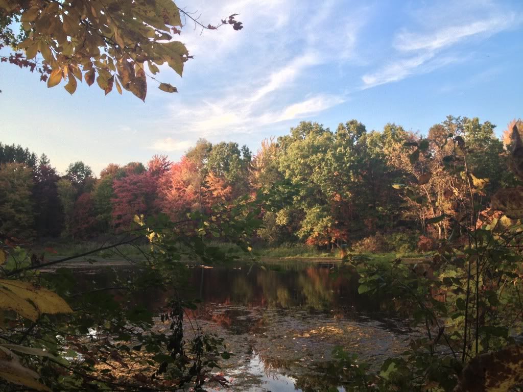 IMAGE: http://i1232.photobucket.com/albums/ff362/jaker182/Snapbucket/663AA8A5.jpg