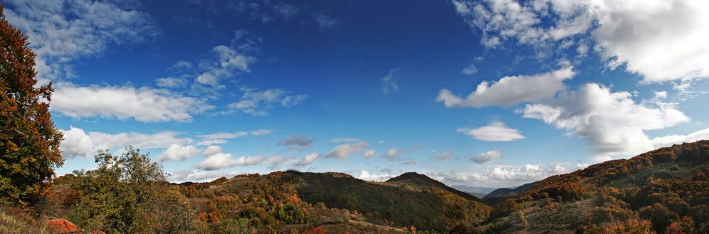 IMG_9685.jpg