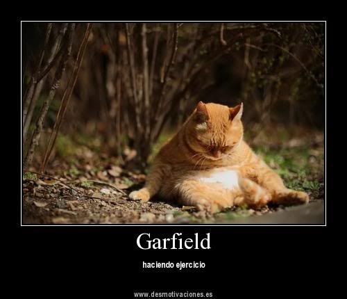 Gatitos lindos en Desmotivaciones Gatitos lindos en Desmotivaciones