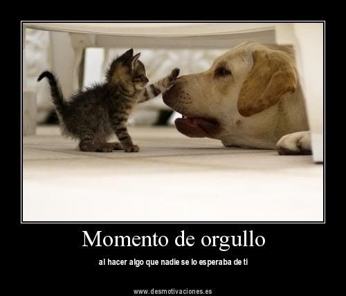 Gatitos lindos en Desmotivaciones Gatitos lindos en Desmotivaciones