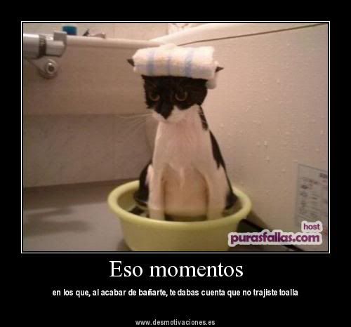 desmotivaciones desmotivaciones