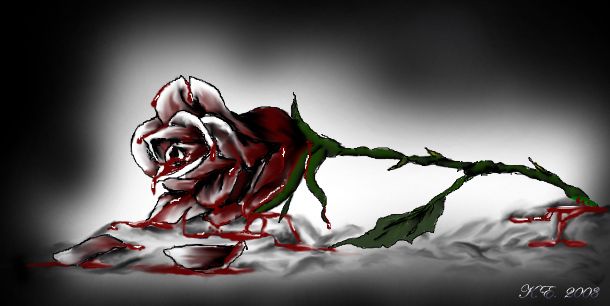 [Image: bleeding_rose.jpg]
