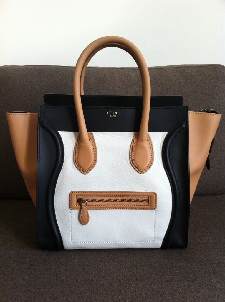 I finally found my perfect Cline bag! A tricolor Mini reveal ...  