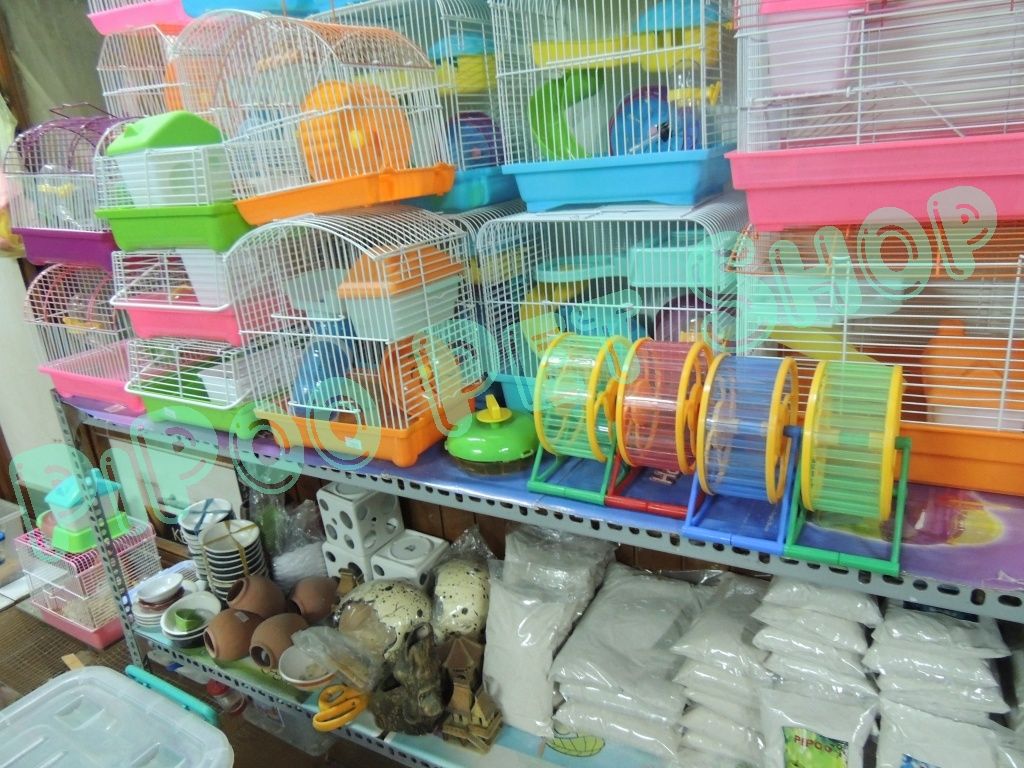 PiPoo Pet Shop Chuyên cung cấp sỉ & lẻ hamster và vật dụng - 21