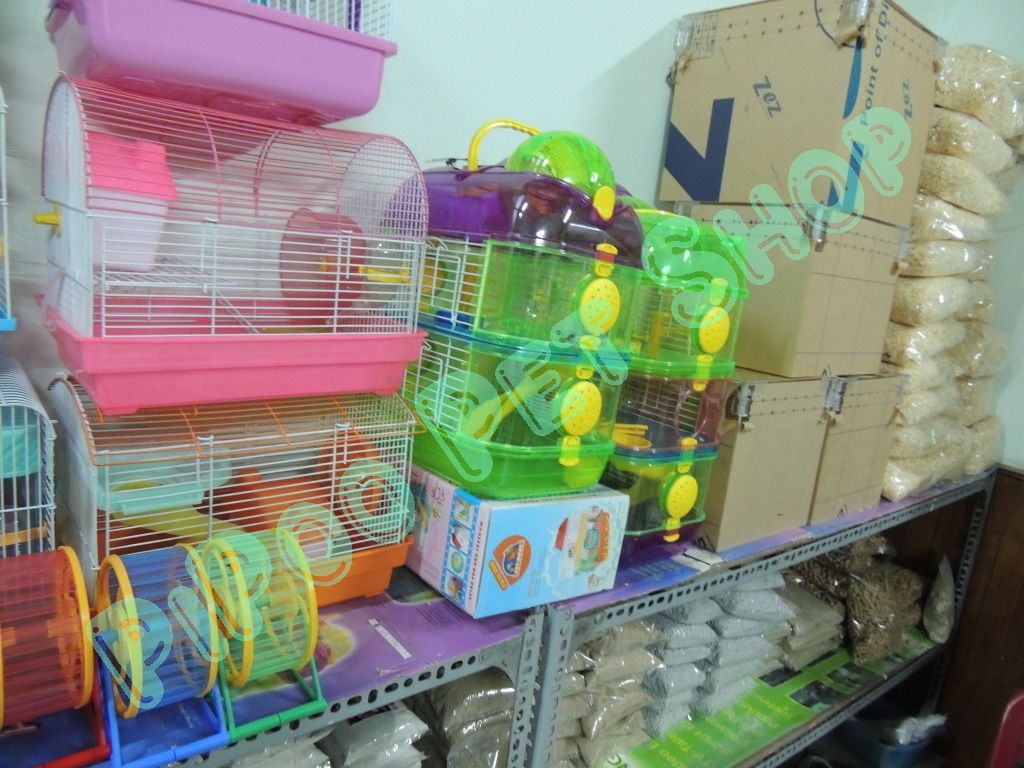 PiPoo Pet Shop Chuyên cung cấp sỉ & lẻ hamster và vật dụng - 20