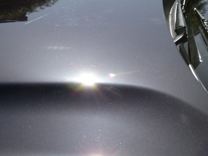 sun50505.jpg