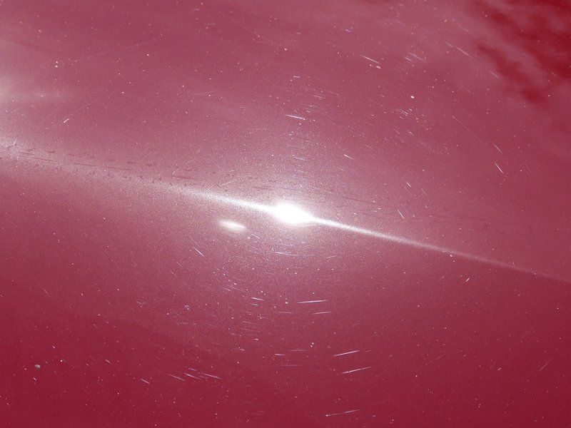 P1030284.jpg