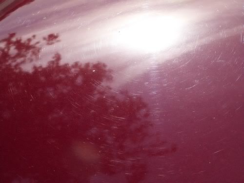 P1020134.jpg