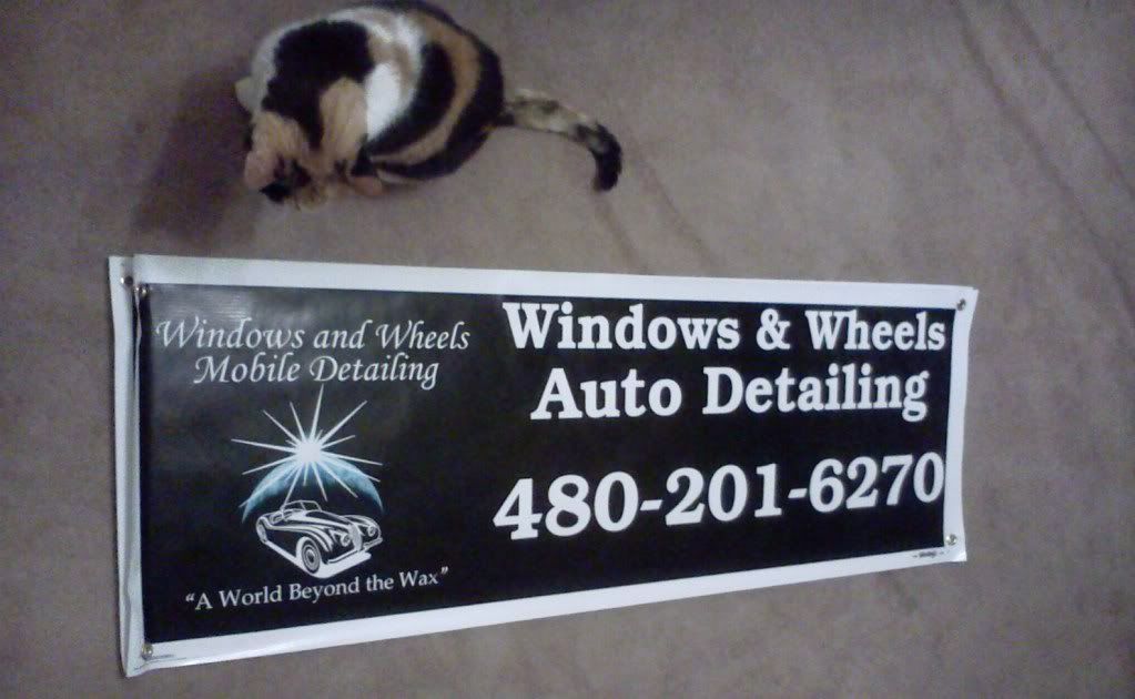 Banner.jpg