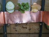 Copper Strip Snail Barrier