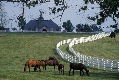  photo ptg00102461.jpg