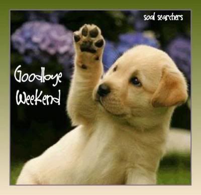 /></p> <p>How adorable is this little guy?!!! (Hey, you guys didn't think <em><strong>I</strong></em> was leaving, did you?) just kidding, just kidding... </p> <p>Seriously though, it is tough say goodbye to the weekend on Sunday evening. Bleh......</p> <p>Blessings and luv to you all!</p>