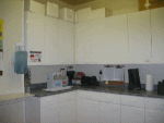 Collectionlab1thumbnail.gif image by PartnersInPork