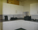 Collectionlab2thumbnail.gif image by PartnersInPork