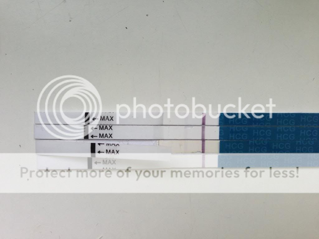  photo d359d7af-88d8-469d-ae9d-fb111142ab10.jpg