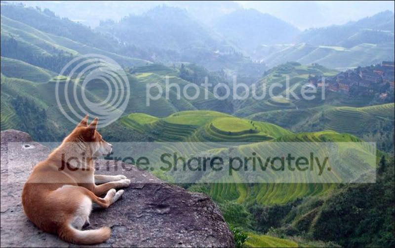 beautiful_pictures_04-Copy.jpg
