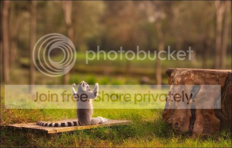 beautiful_pictures_17.jpg