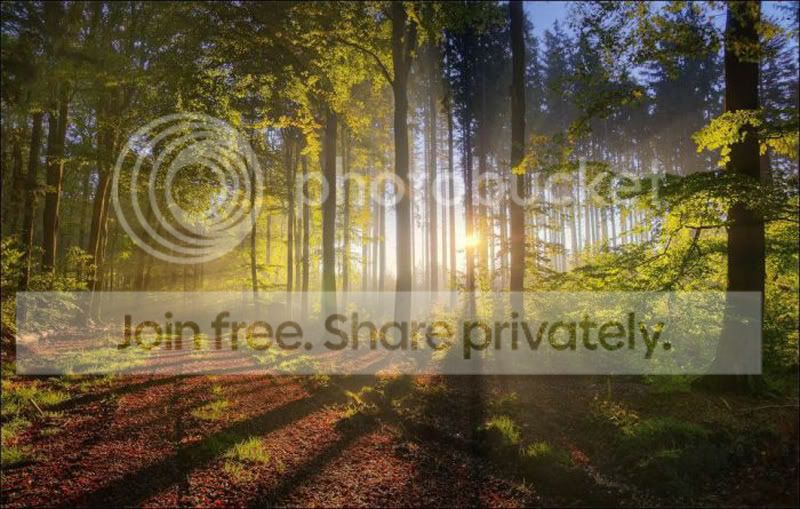 beautiful_pictures_35-Copy.jpg